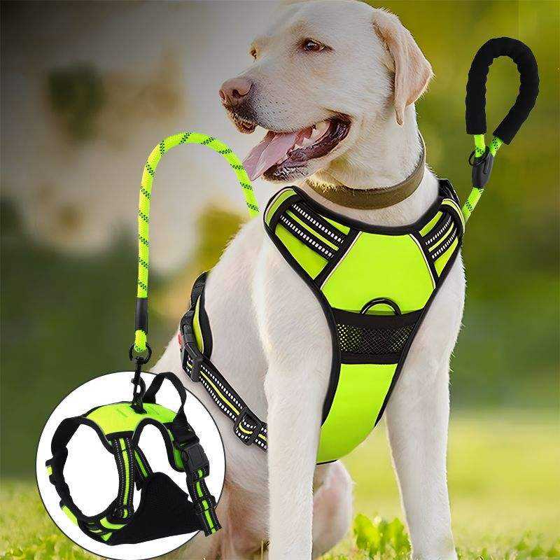 No Pull Dog Harness – Reflective Breathable Adjustable Vest for Walking & Training Waverit